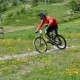 Descente_VTT_GraviyBikePark